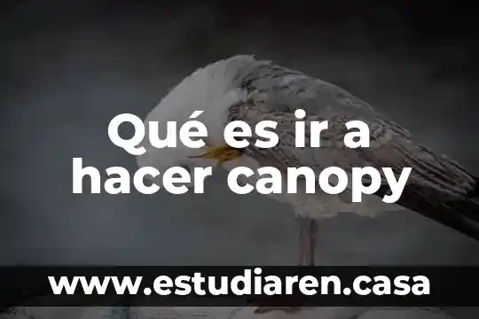 Que es hacer una horchata 3 Qué es ir a hacer canopy