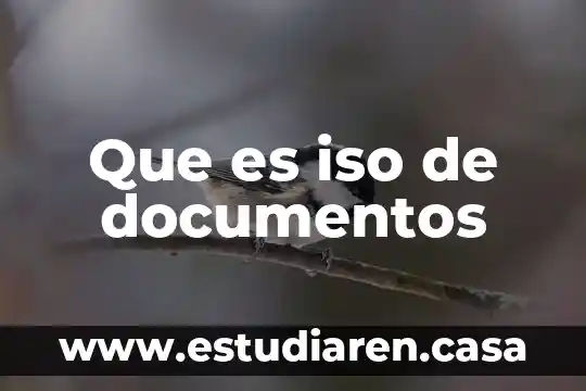 Qué es ISO para la gestión de calidad 4 Que es iso de documentos