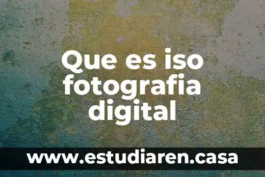 Que es iso fotografia digital