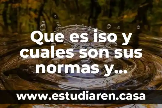 Que es iso y cuales son sus normas y codigos