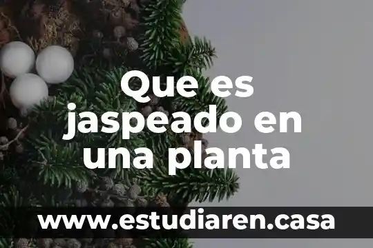 Que es jaspeado en una planta