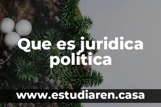 Que es politica para may weber 4 Que es juridica politica