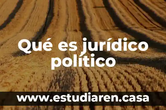 Que es un caracter politico 5 Qué es jurídico político