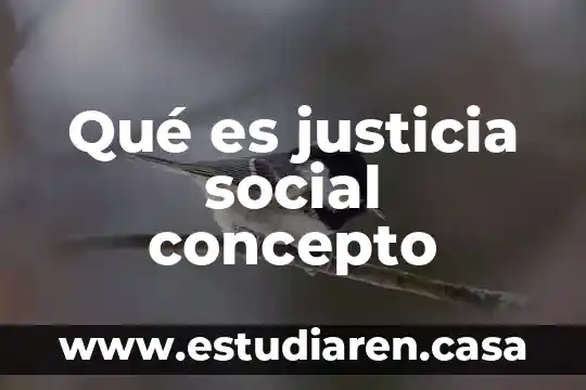 Qué es justicia social concepto