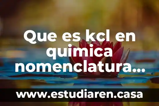 Contabilidad tradicional que es 4 Que es kcl en quimica nomenclatura tradicional