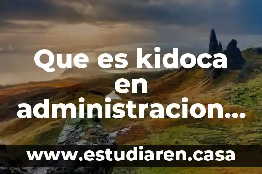 Que es la linea de operaciones en columna de absorcion 8 Que es kidoca en administracion de operaciones
