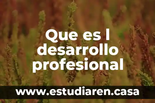 Que es l desarrollo profesional
