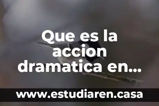 Que es un proyecto artistico en teatro 8 Que es la accion dramatica en una obra de teatro