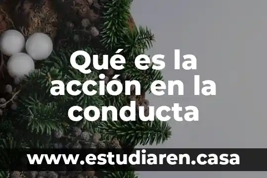 Qué es la acción en la conducta
