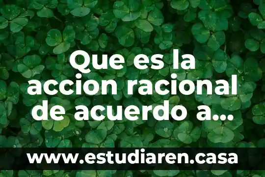 Que es la accion racional de acuerdo a fines