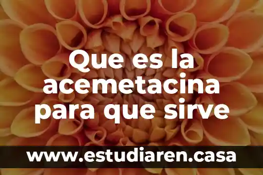 Qué es el RTU y para qué sirve 4 Que es la acemetacina para que sirve
