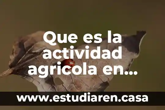Que es la actividad agricola en mexico