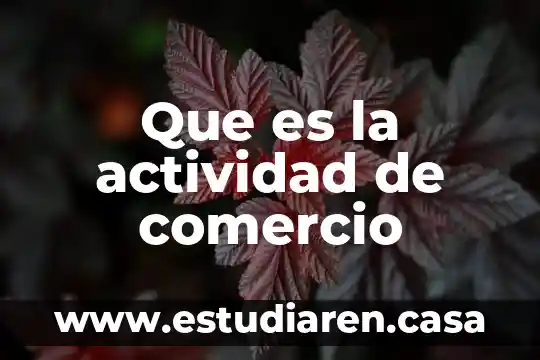 Que es ci en comercio exterior 8 Que es la actividad de comercio