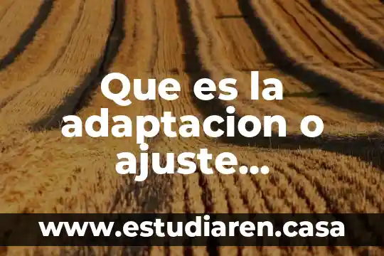 Que es la adaptacion quimica 5 Que es la adaptacion o ajuste psicologia