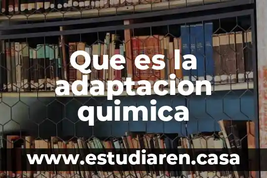 Que es la adaptacion o ajuste psicologia 3 Que es la adaptacion quimica