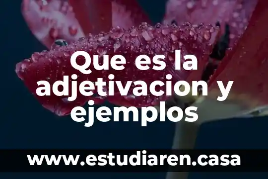 Que es la adjetivacion y ejemplos