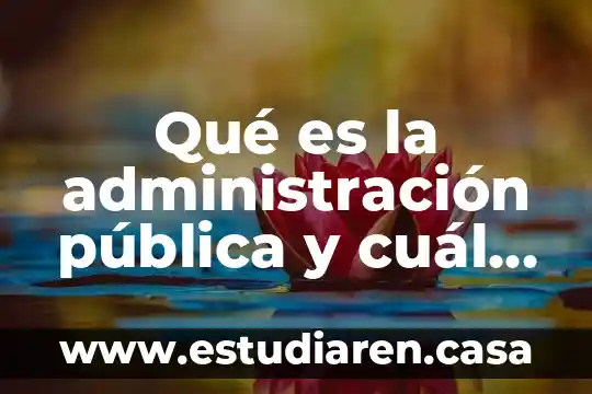 Qué es la administración pública y cuál es su función