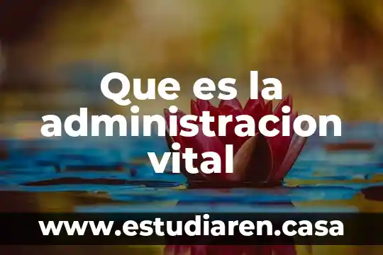 Que es la teoria de la fuerza vital 6 Que es la administracion vital
