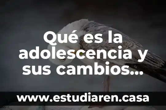 Qué es la adolescencia y el desarrollo físico y psicológico 5 Qué es la adolescencia y sus cambios culturales