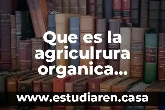Contabilidad tradicional que es 8 Que es la agriculrura organica tradicional y biologica