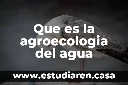 Que es un milimetro de columna de agua 5 Que es la agroecologia del agua