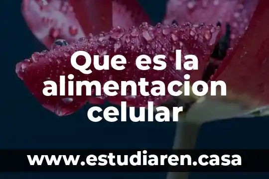 Que es leyes de la alimentacion 8 Que es la alimentacion celular