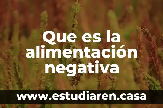 Que es leyes de la alimentacion 6 Que es la alimentación negativa