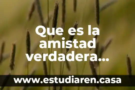 Civismo que es un valor 7 Que es la amistad verdadera como valor