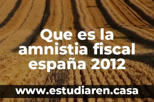 Que es la ley de amnistía en méxico 8 Que es la amnistia fiscal españa 2012