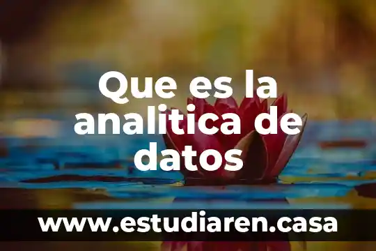 Que es la analitica de datos