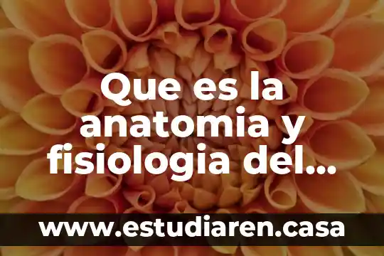 Que es equilibrio humano 6 Que es la anatomia y fisiologia del cuerpo humano