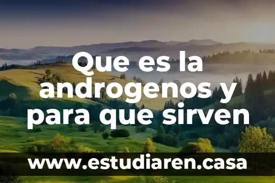 Para que sirven y para que es microsoft edge 7 Que es la androgenos y para que sirven