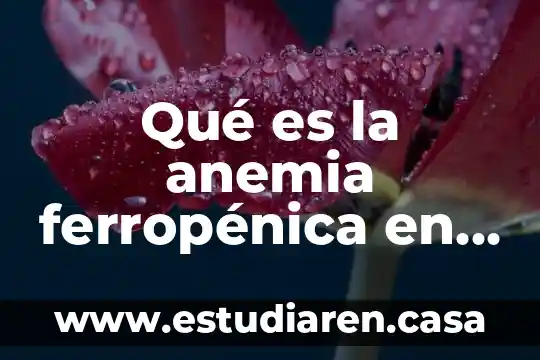 Que es la garantia mercado libre 6 Qué es la anemia ferropénica en niños