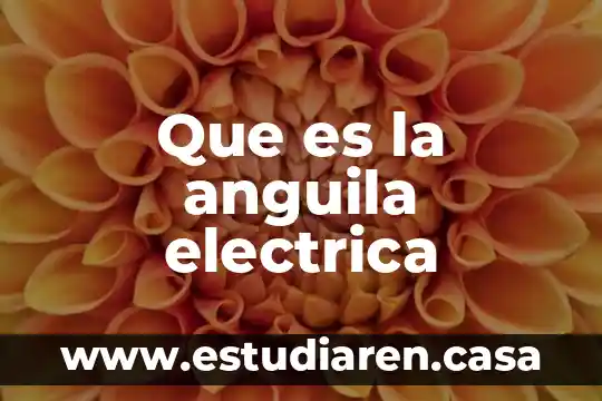 Que es un sites planta electrica de emergencia 5 Que es la anguila electrica