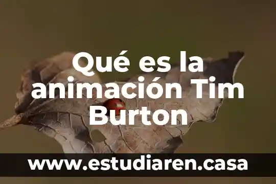 Qué es un galvanómetro y cómo está constituido 5 Qué es la animación Tim Burton