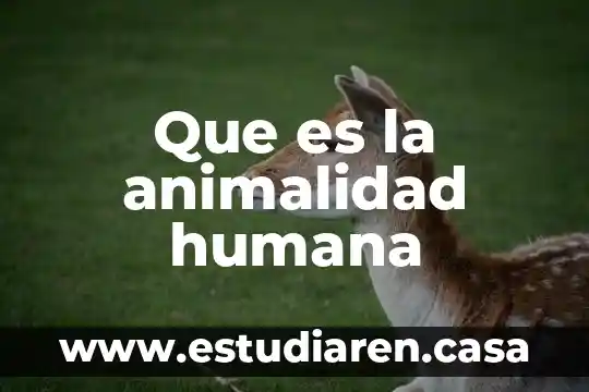 Qué es la propulsion humana 5 Que es la animalidad humana