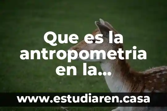 Qué es una pirámide truncada arquitectura 5 Que es la antropometria en la arquitectura
