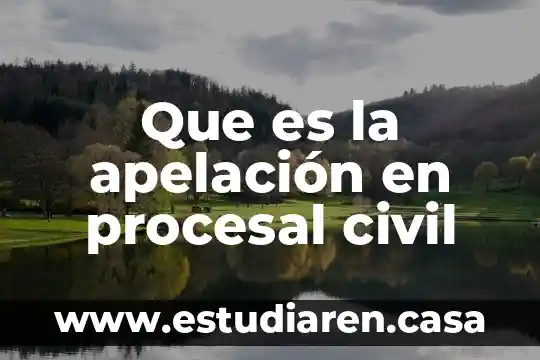 Derecho procesal civil que es la demanda 5 Que es la apelación en procesal civil