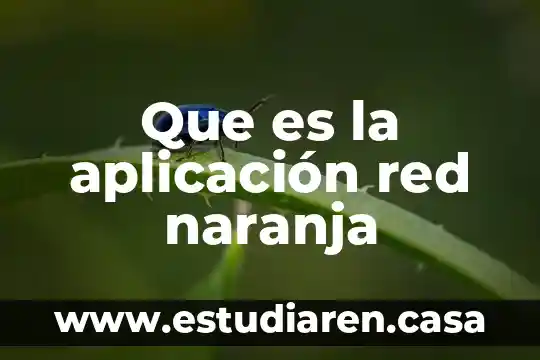 Que es la aplicación red naranja