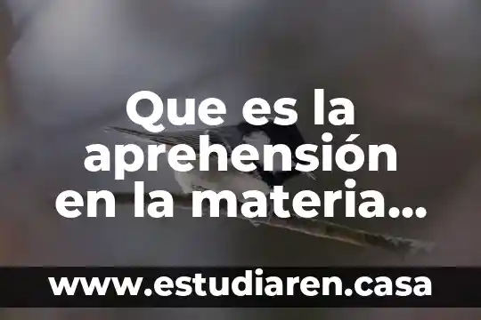Qué es y cómo se clasifica la materia química 3 Que es la aprehensión en la materia de historia