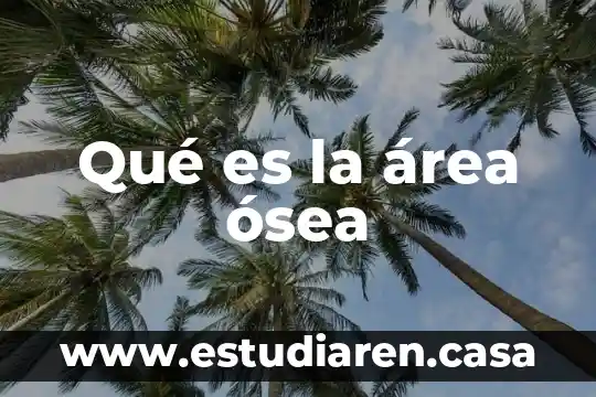Qué es la masa ósea 5 Qué es la área ósea