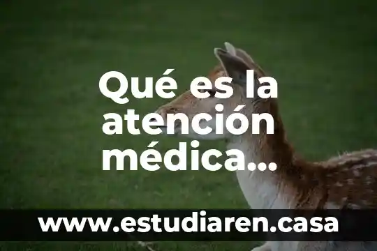 Que es la atencion en el ambiente familiar 4 Qué es la atención médica quirúrgica y hospitalaria Yahoo