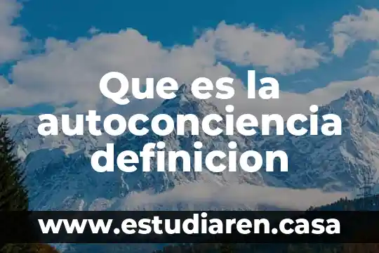 Que es la autoconciencia definicion