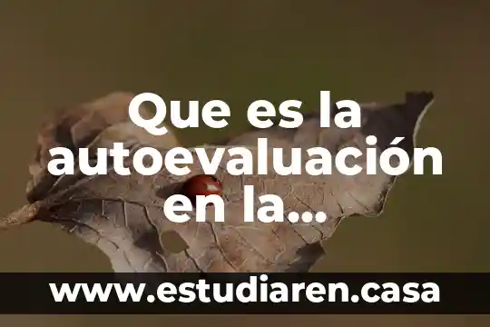 Que es la autoevaluación en la psicología