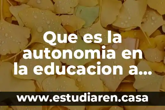Que es la autonomia en la educacion a distancia