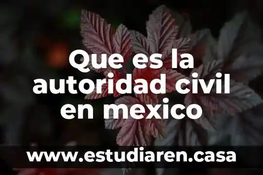 Que es ingeniería la ingeneria civil 5 Que es la autoridad civil en mexico