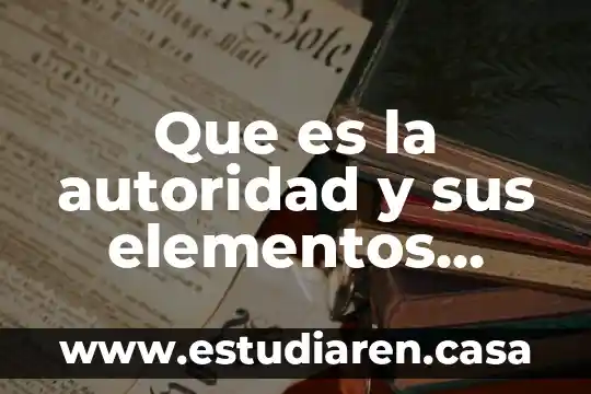 Que es la autoridad y sus elementos amparo