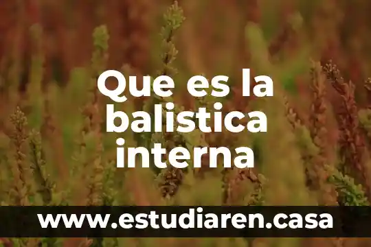 Que es la balistica interna
