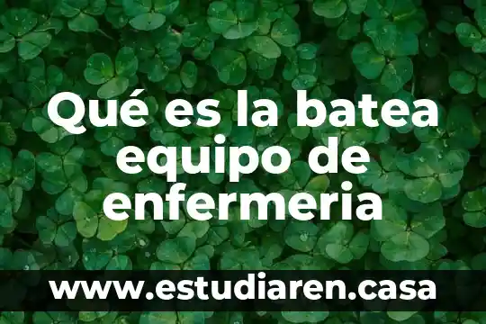 Qué es la batea equipo de enfermeria