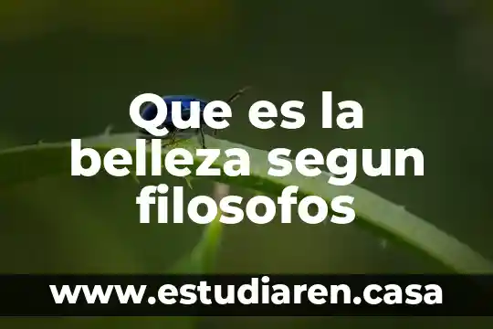 Que es la belleza segun filosofos